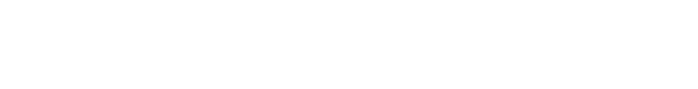 LeaderFox